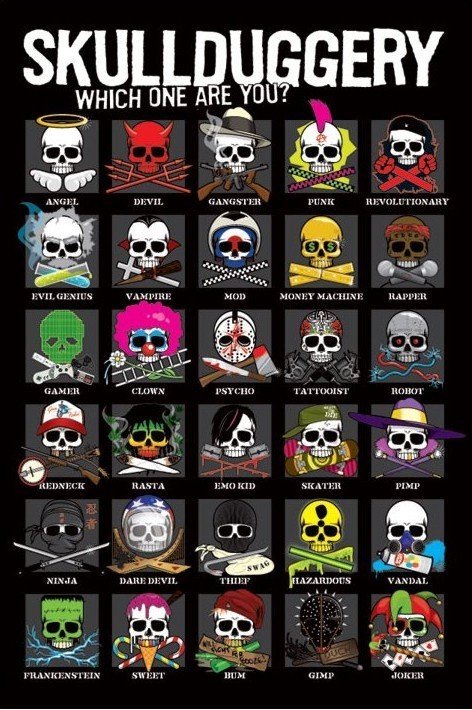 Обложка игры Skullduggery!