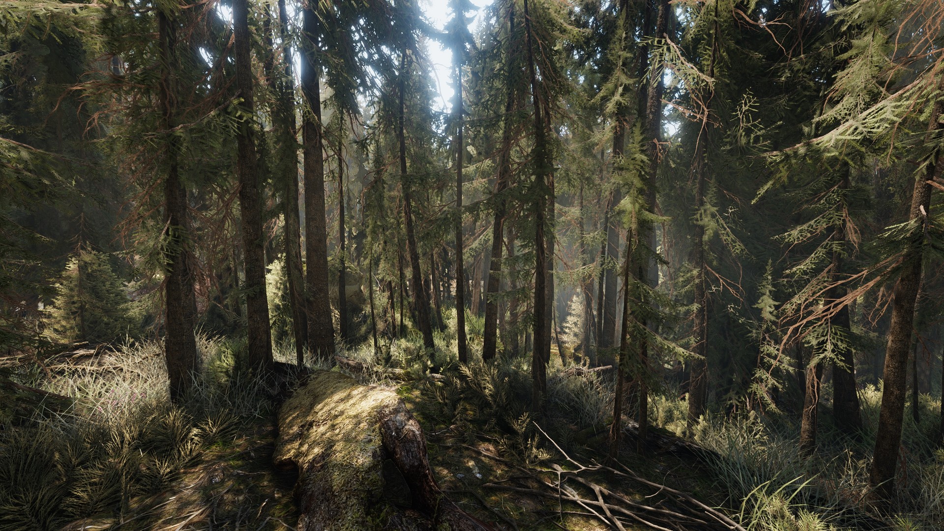 Скриншот из игры Heat - 14