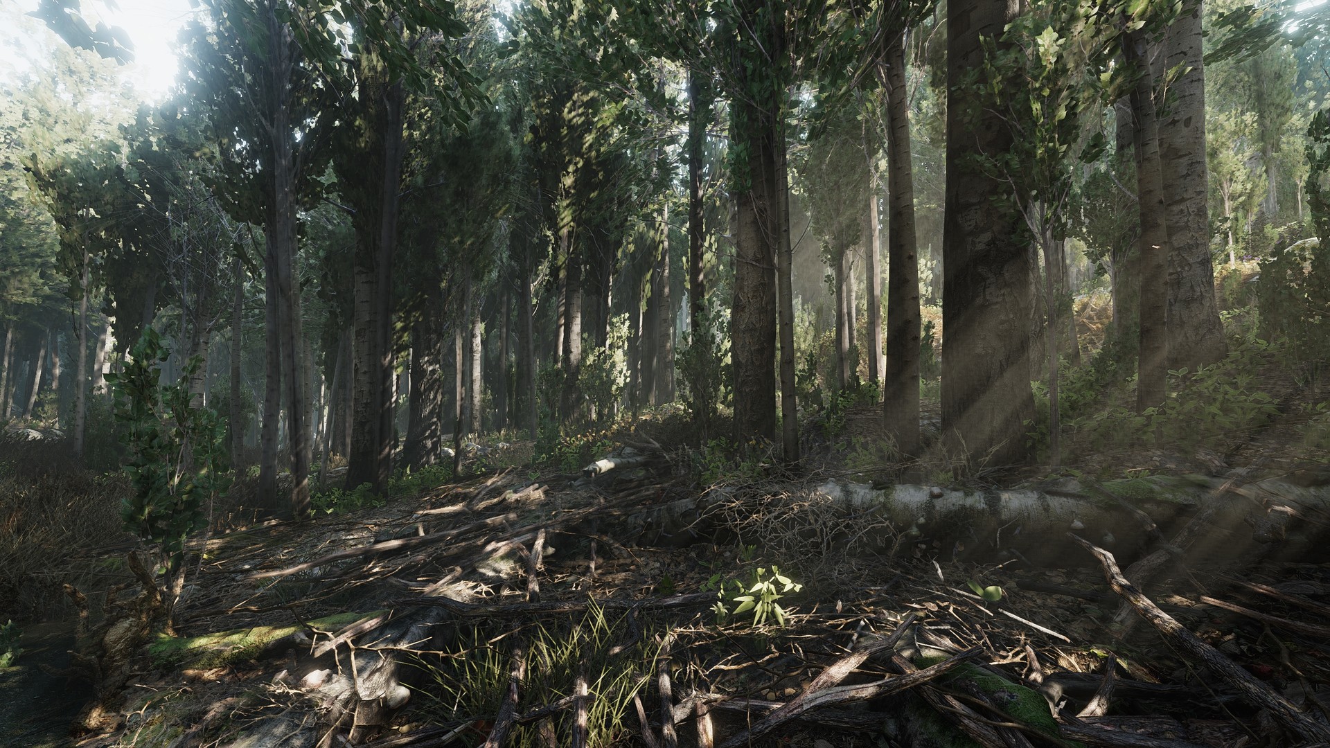 Скриншот из игры Heat - 22