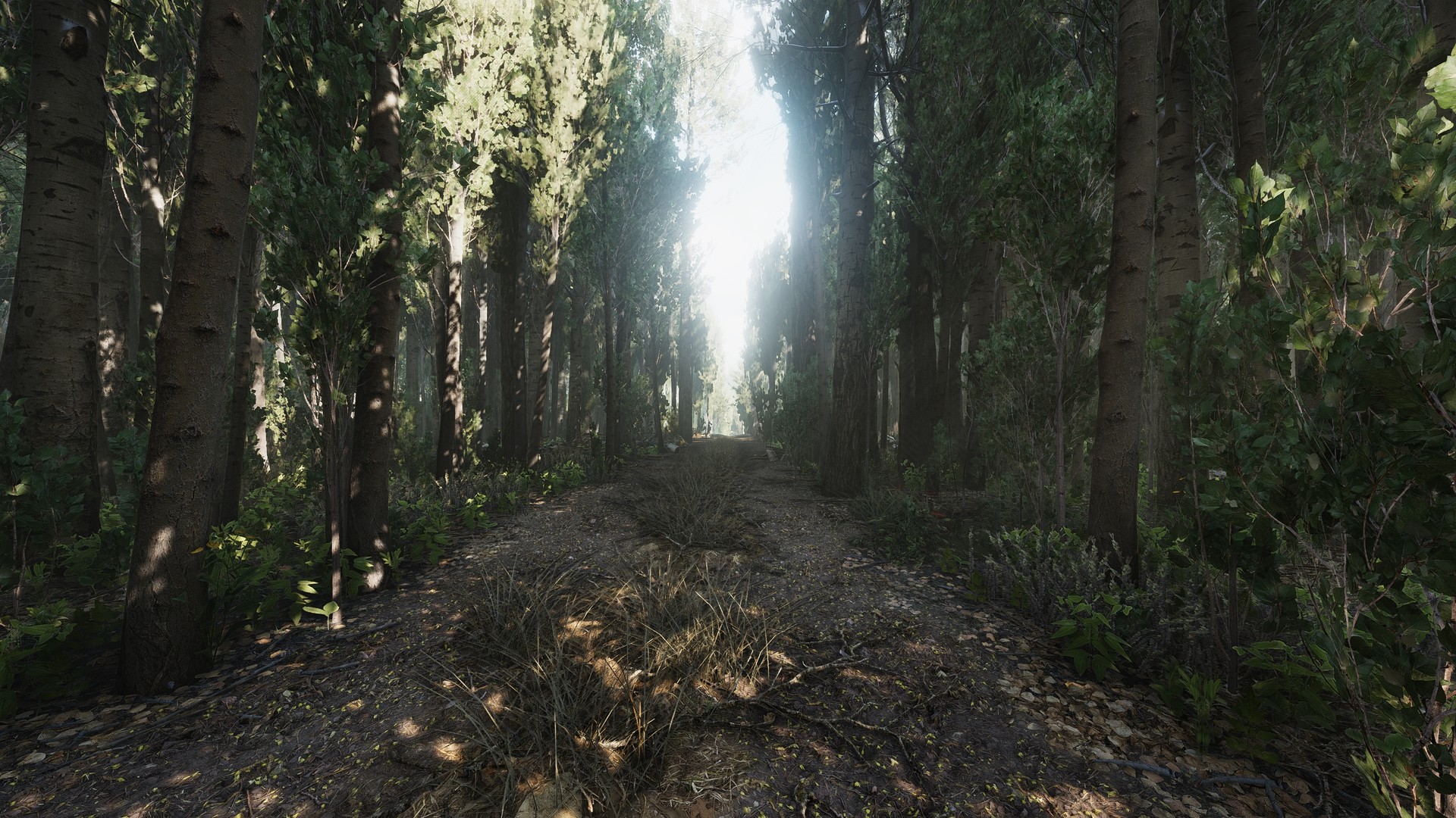 Скриншот из игры Heat - 10