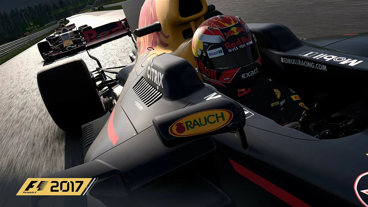 Скриншот из игры F1 2017 - 24