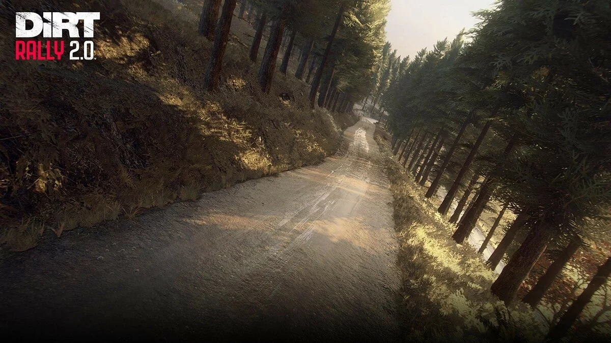 Скриншот из игры DiRT Rally 2.0 - 25