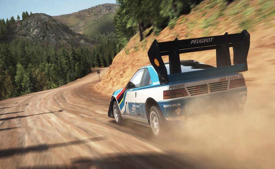 Скриншот из игры DiRT Rally - 10