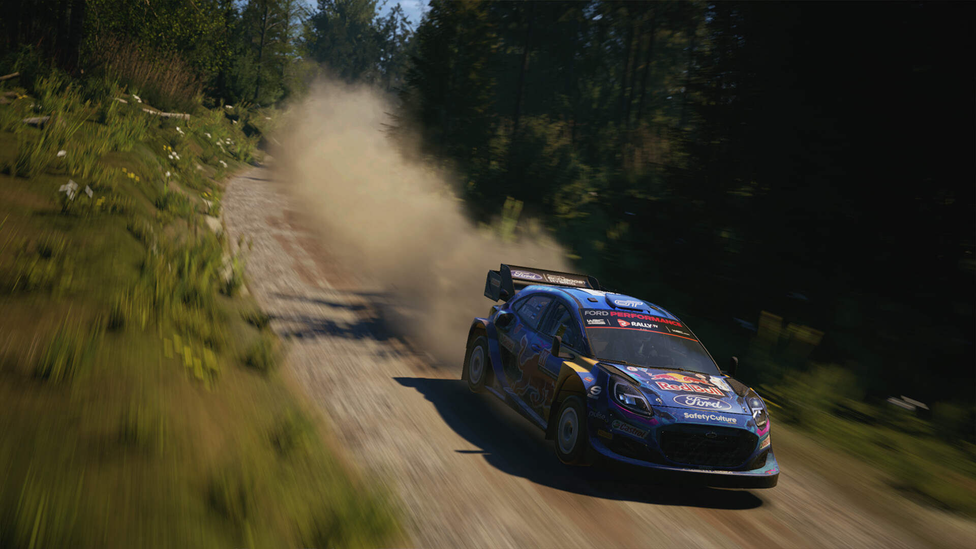 Скриншот из игры EA Sports WRC - 12