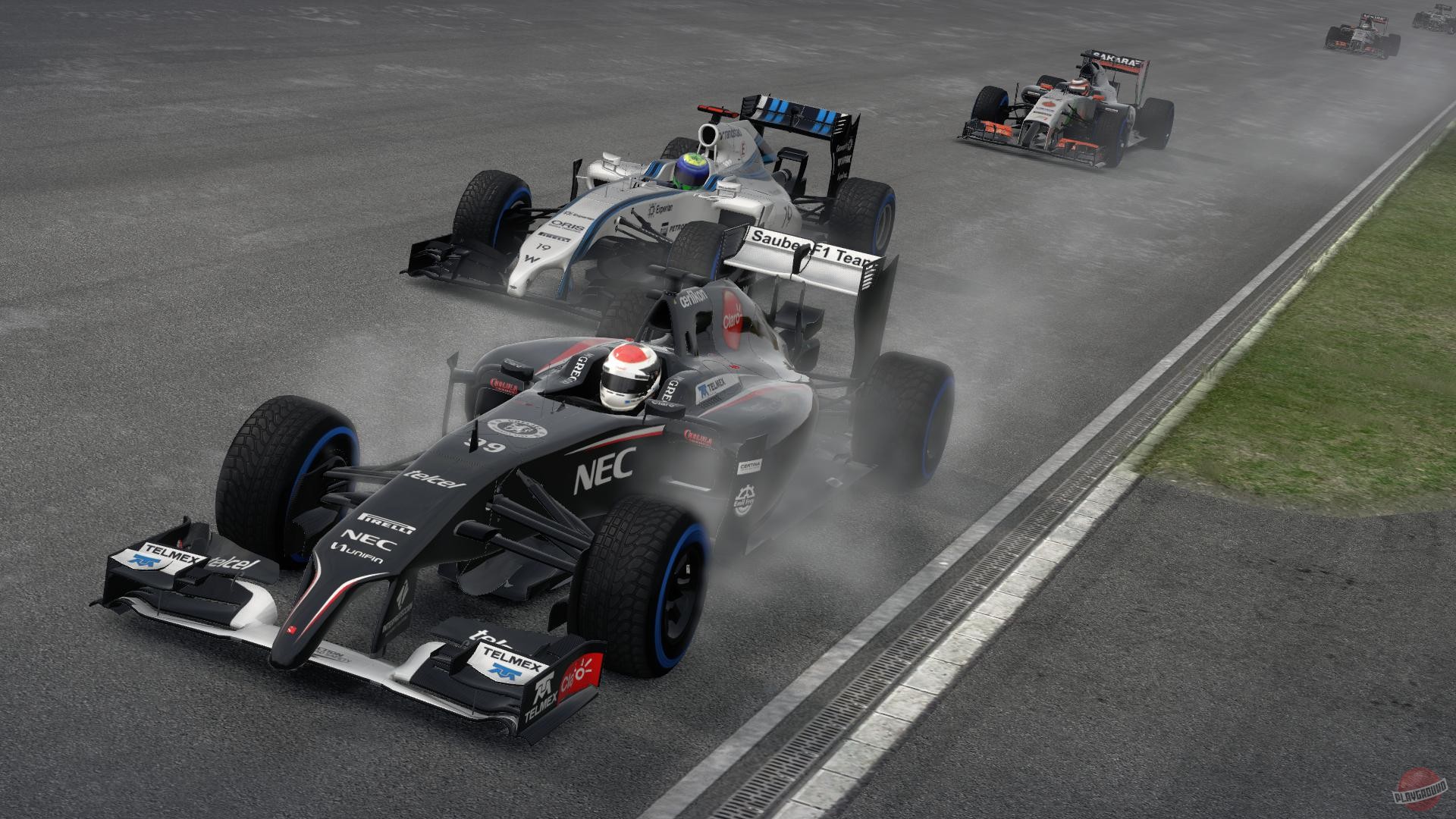 Скриншот из игры F1 2014 - 19