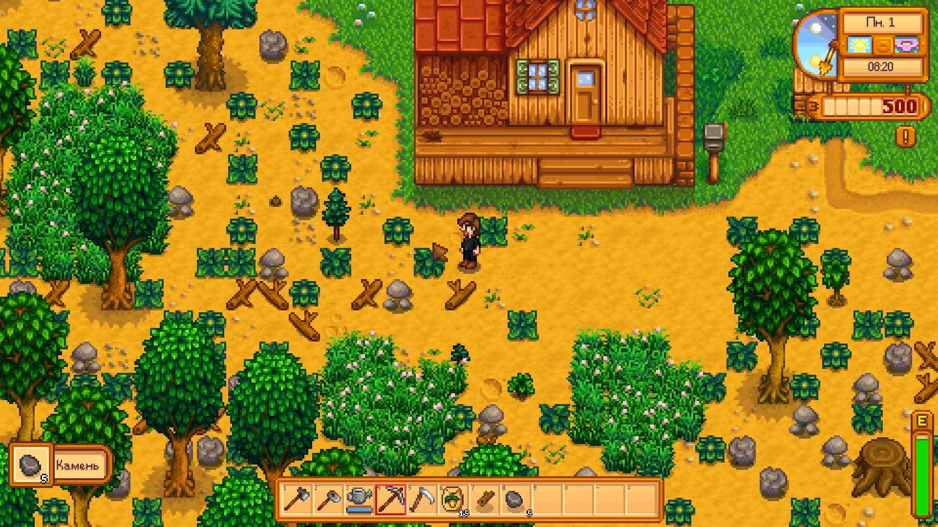Скриншот из игры Stardew Valley - 17