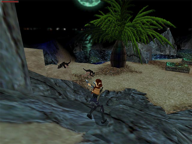 Скриншот из игры Tomb Raider 3: The Lost Artifact - 2
