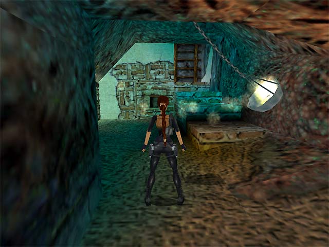 Скриншот из игры Tomb Raider 3: The Lost Artifact - 21