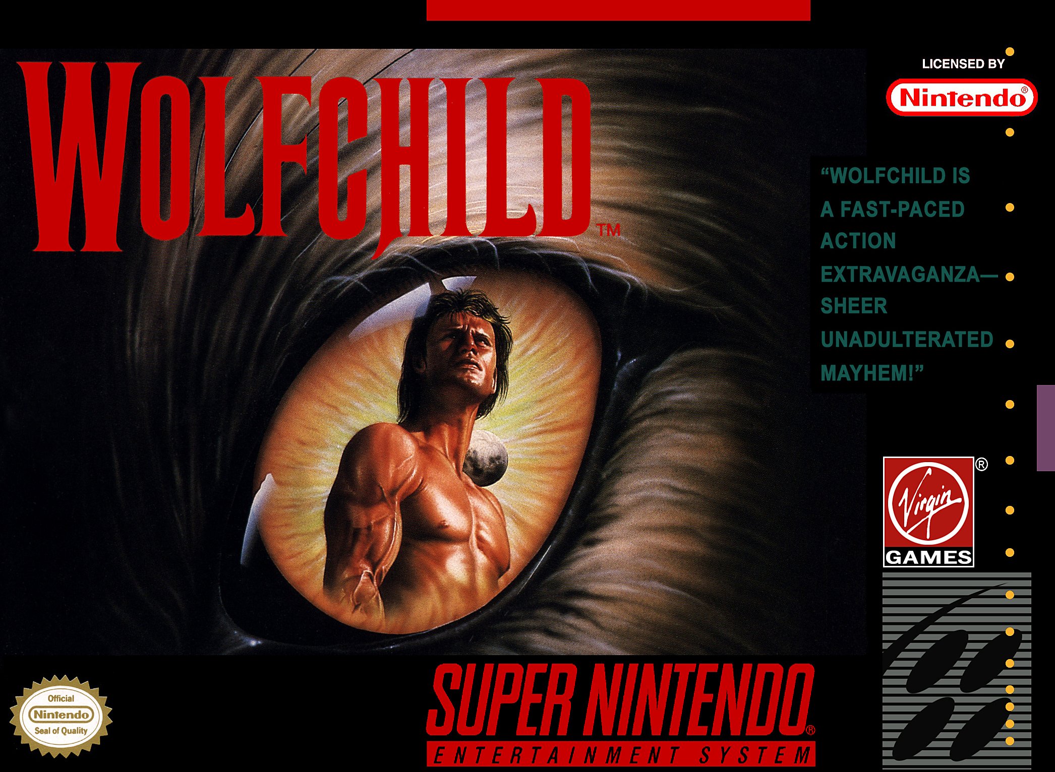 Обложка игры Wolfchild