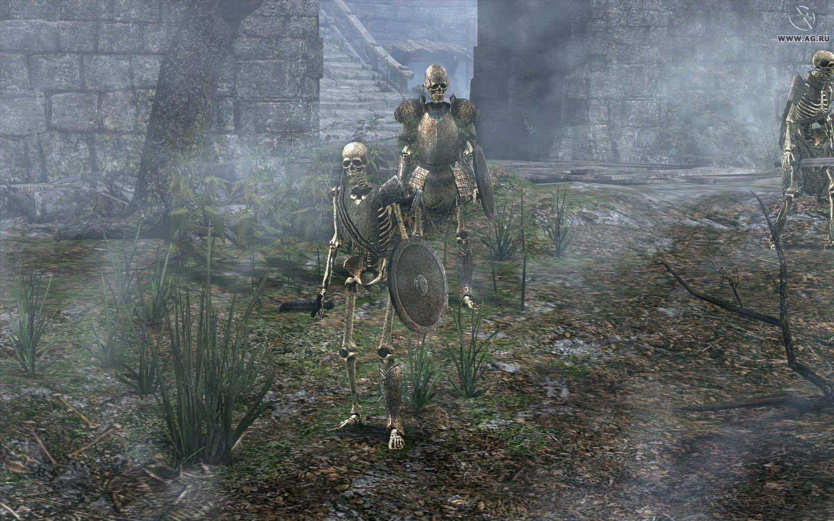 Скриншот из игры Chaos Chronicles - 9