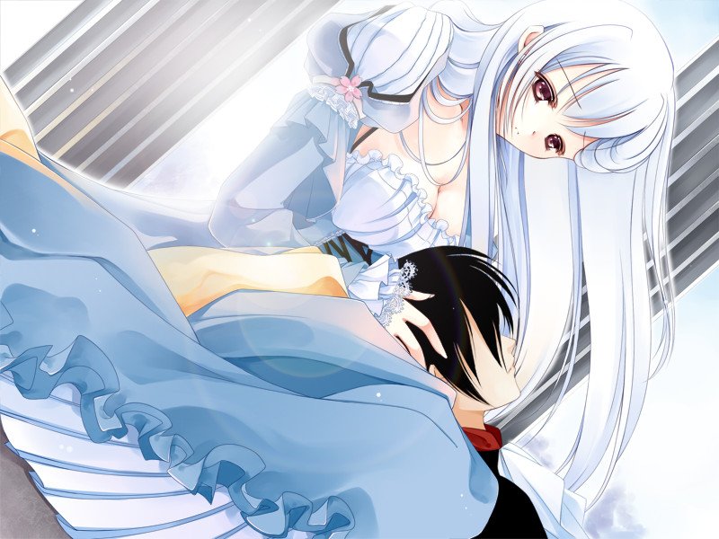 Скриншот из игры Oblivious Garden - 4