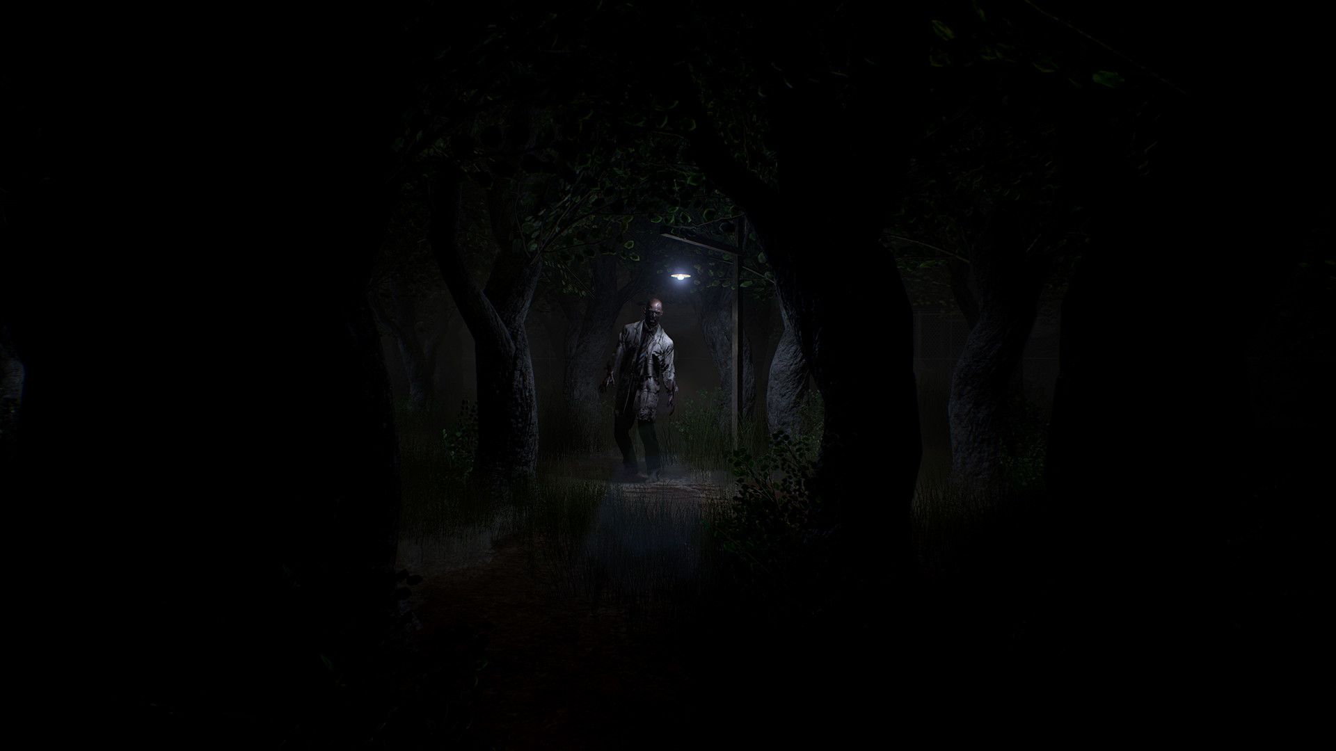 Скриншот из игры Roots of Insanity - 15