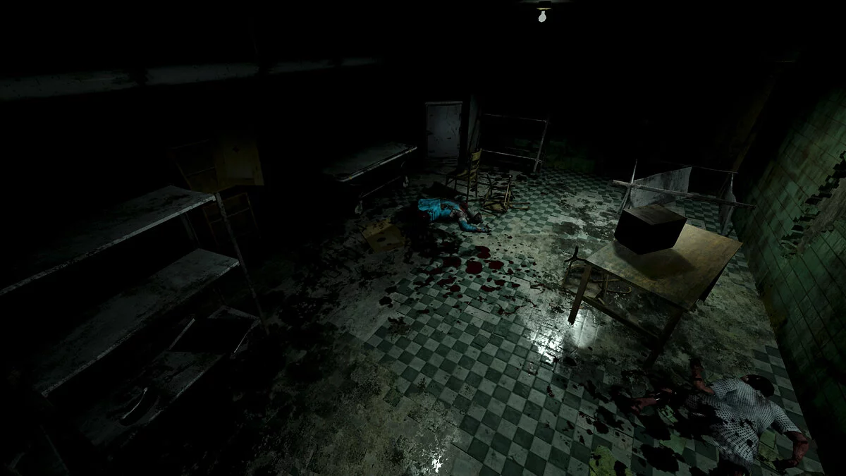 Скриншот из игры Roots of Insanity - 7