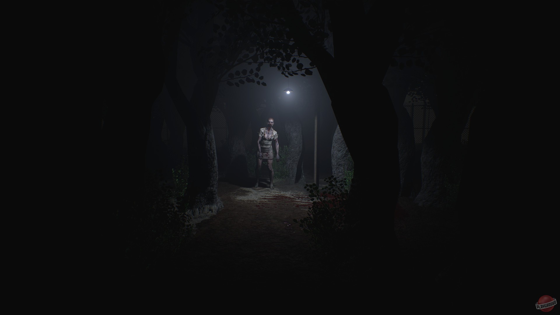 Скриншот из игры Roots of Insanity - 9