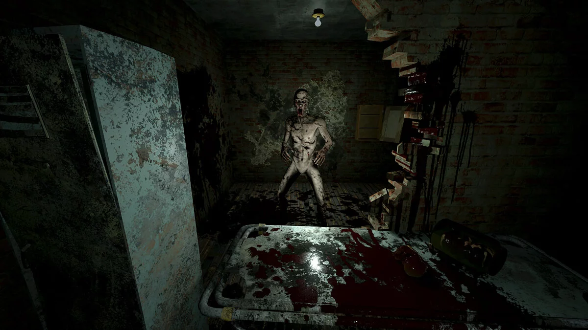 Скриншот из игры Roots of Insanity - 16