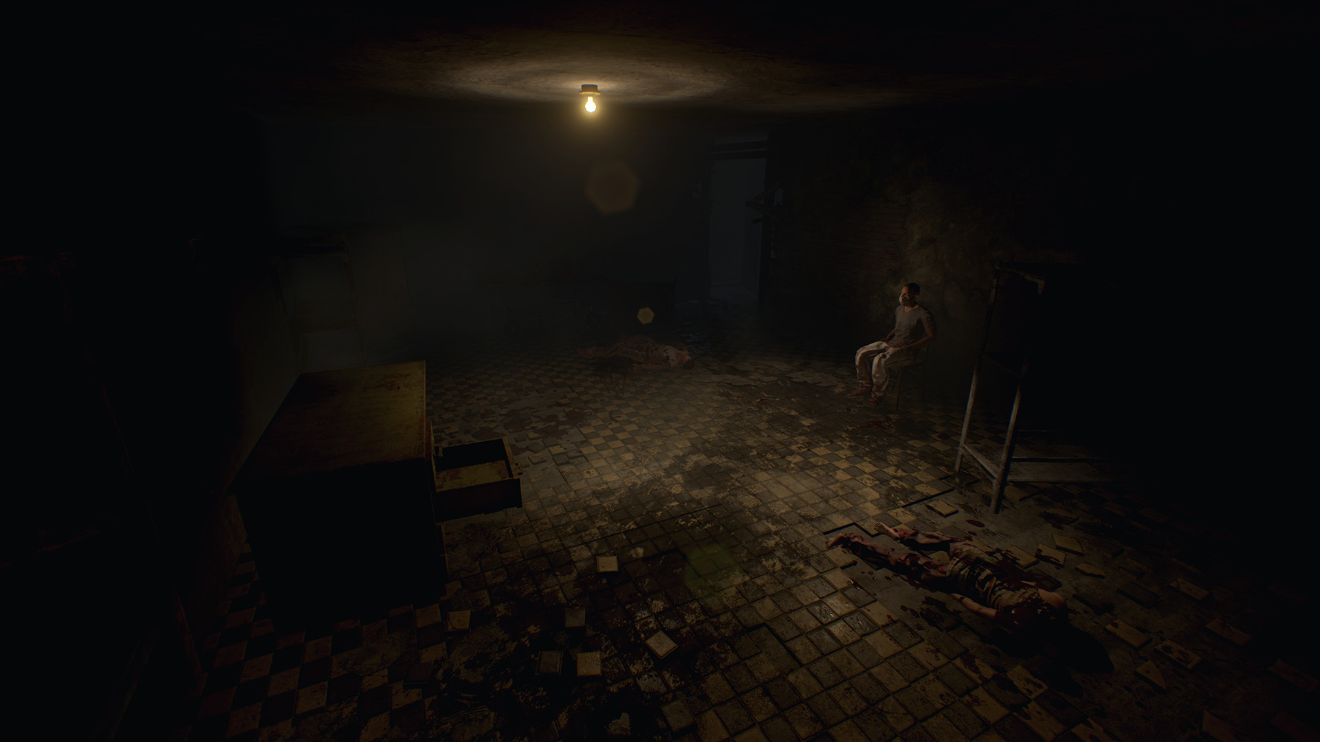 Скриншот из игры Roots of Insanity - 4