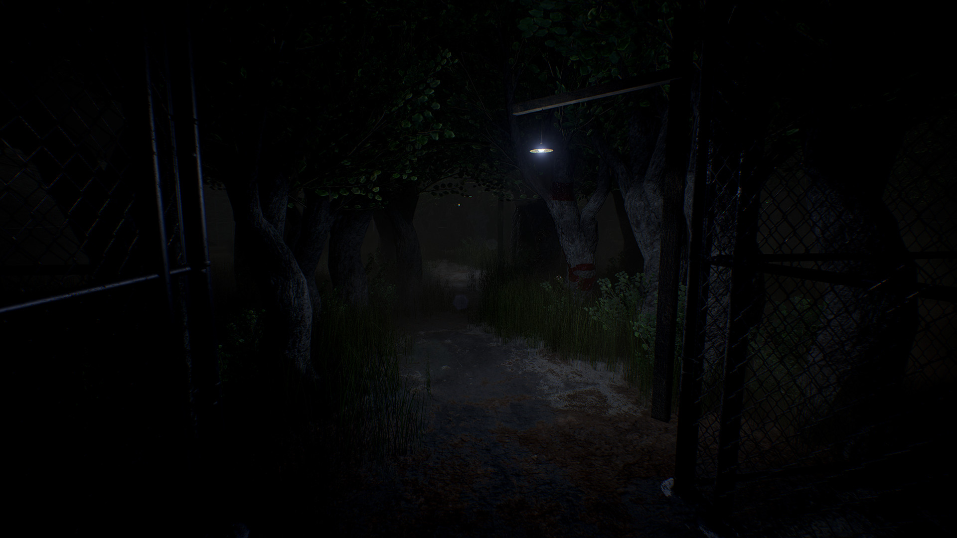 Скриншот из игры Roots of Insanity - 5