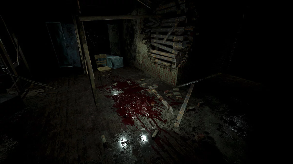 Скриншот из игры Roots of Insanity - 3