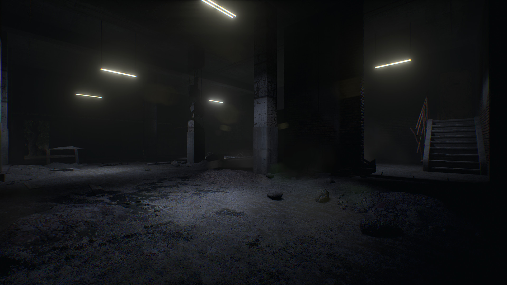 Скриншот из игры Roots of Insanity - 42