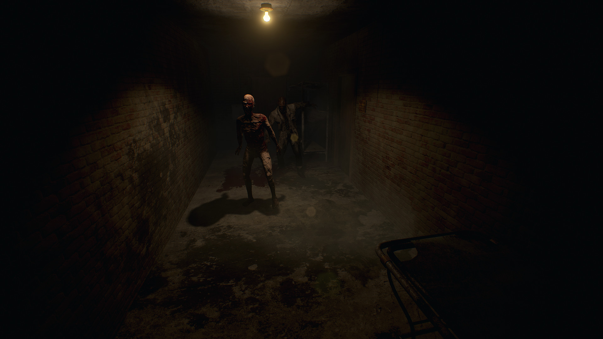 Скриншот из игры Roots of Insanity - 1