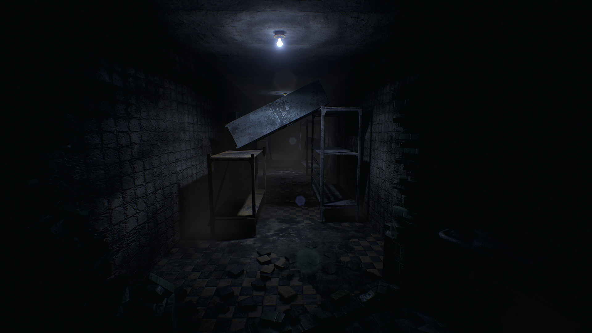 Скриншот из игры Roots of Insanity - 36