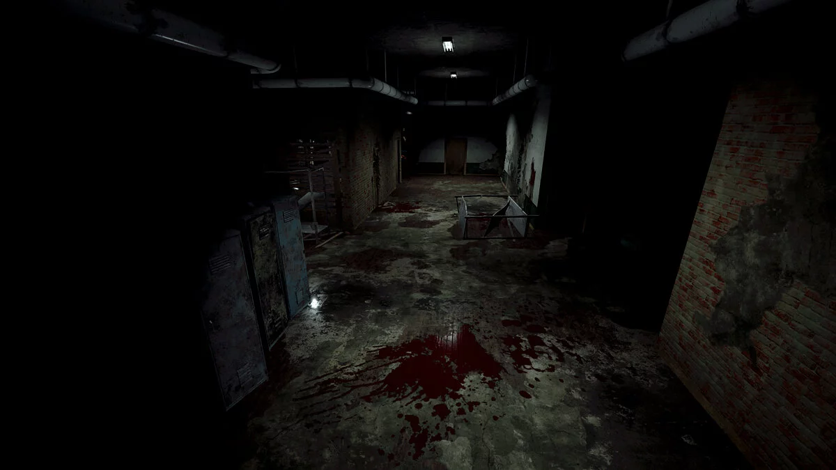 Скриншот из игры Roots of Insanity - 28