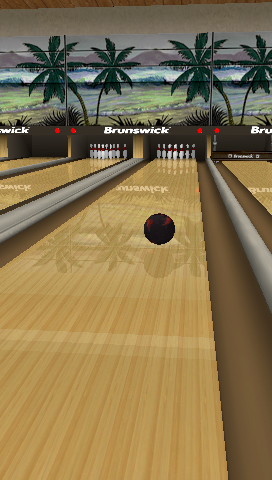Скриншот из игры Brunswick Pro Bowling - 109