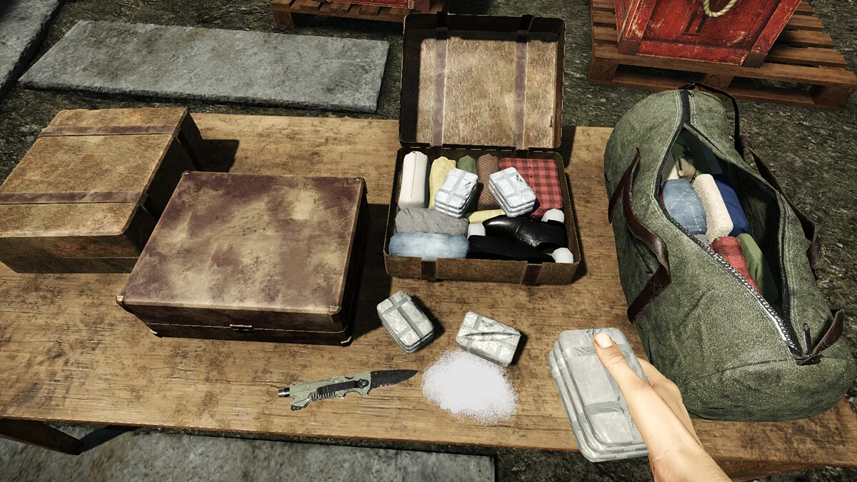Скриншот из игры Contraband Police - 24