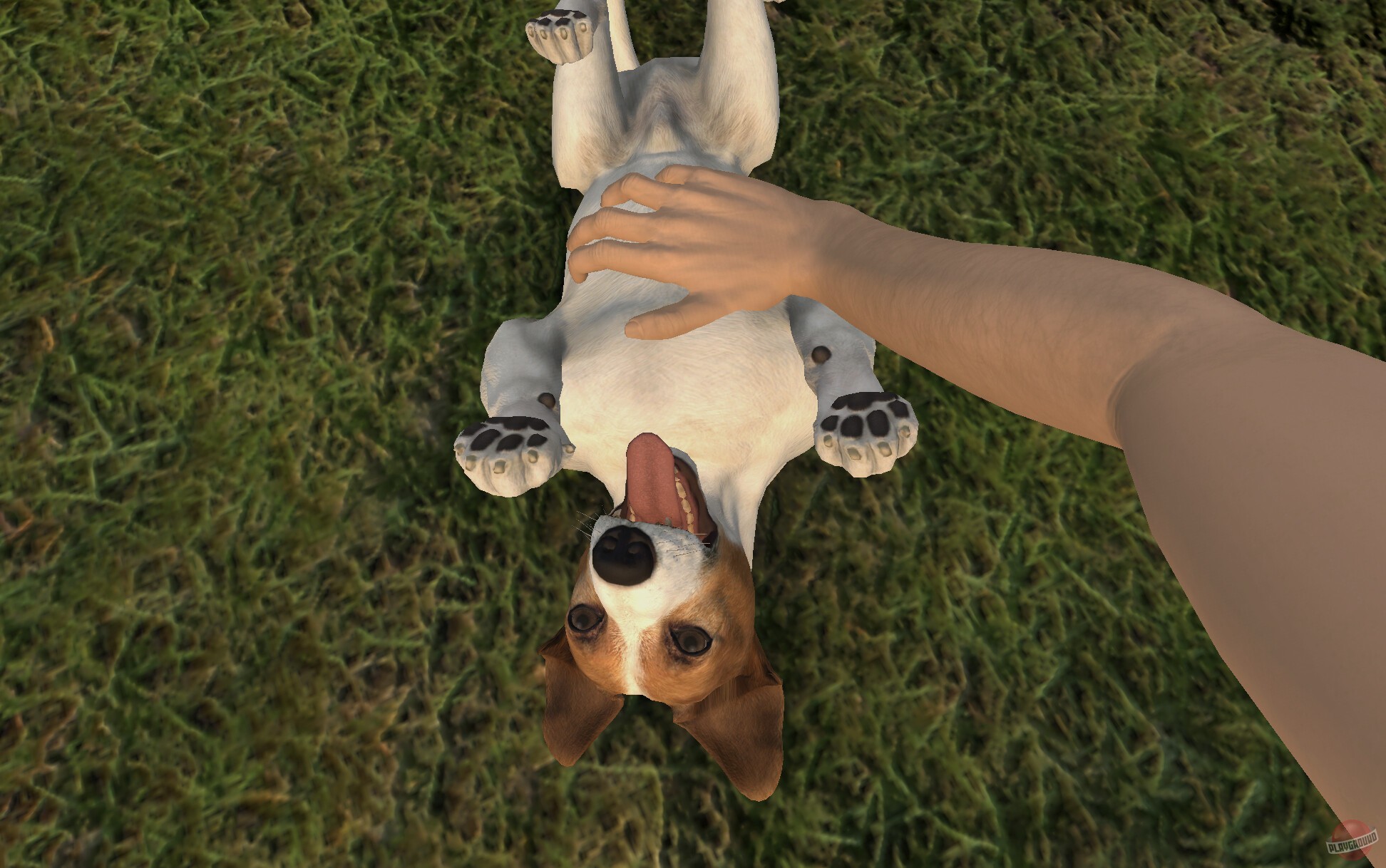 Скриншот из игры Pets Hotel - 8