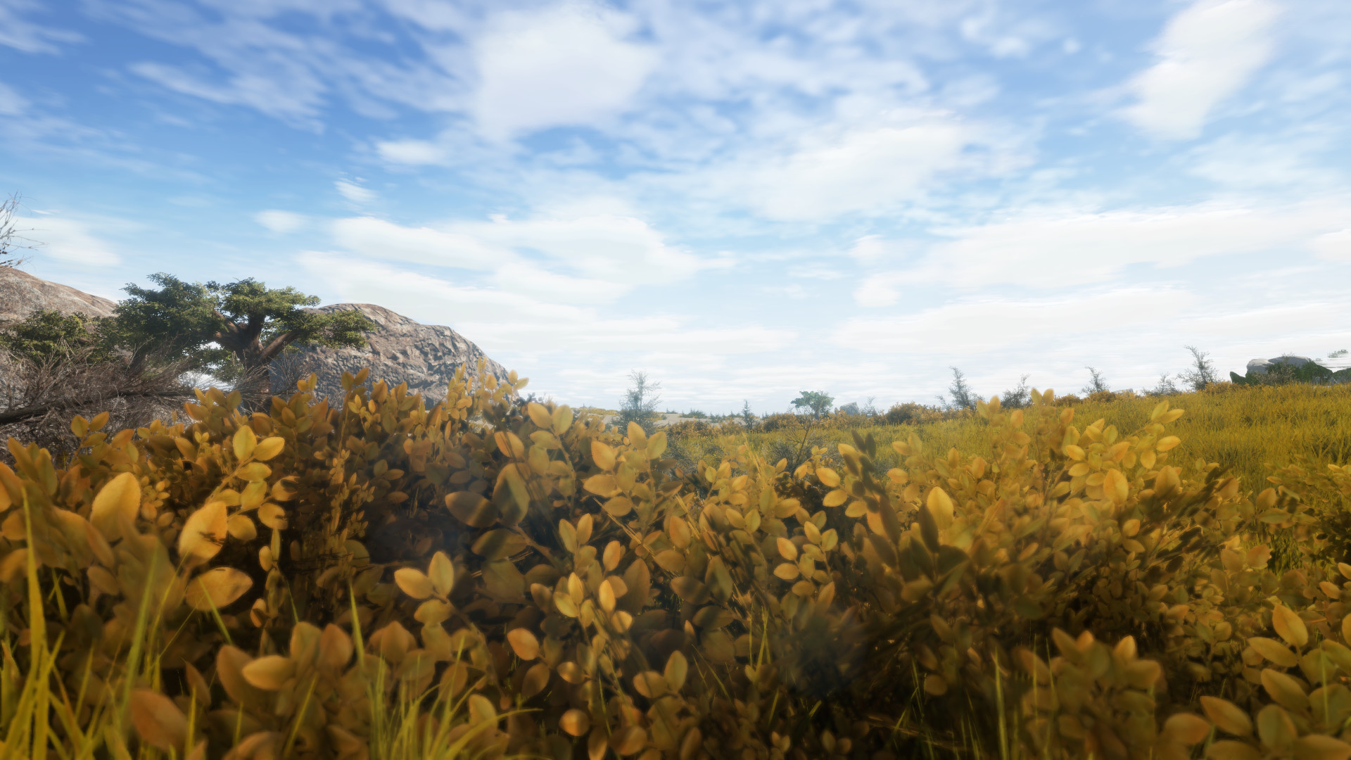 Скриншот из игры Animallica - 23