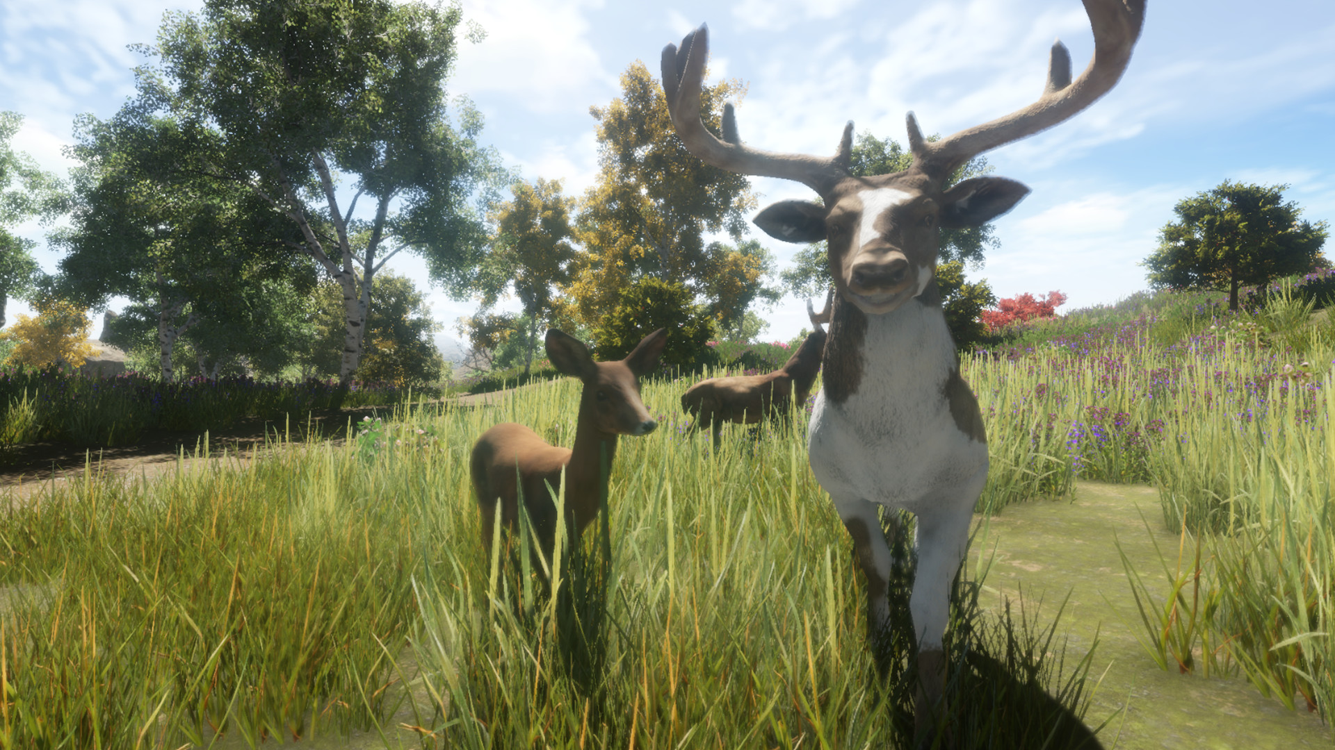 Скриншот из игры Animallica - 38