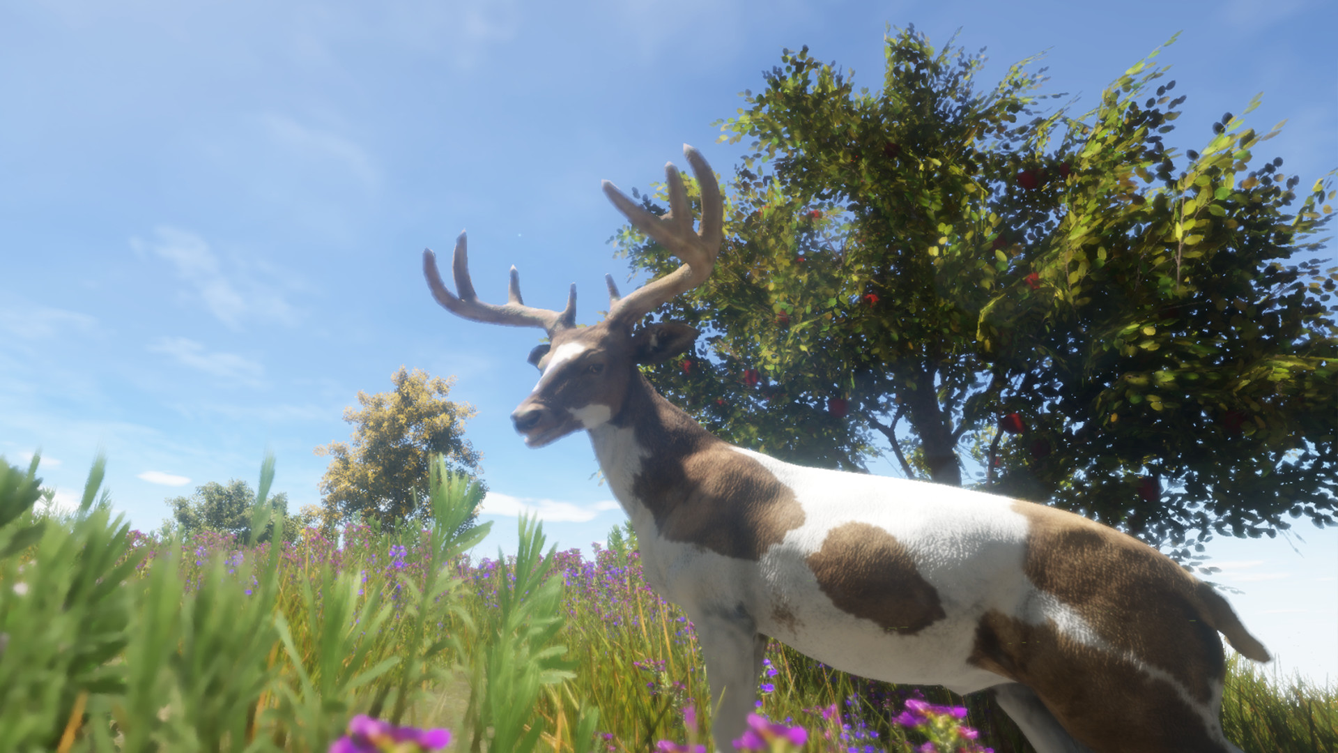 Скриншот из игры Animallica - 37