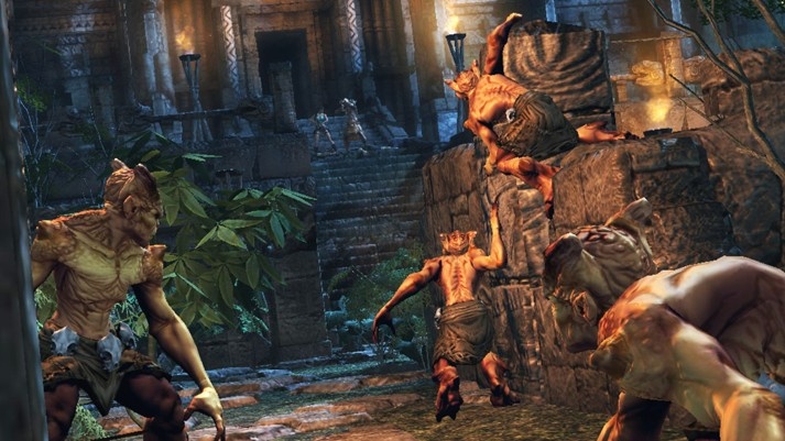 Скриншот из игры Lara Croft and the Guardian of Light - 31