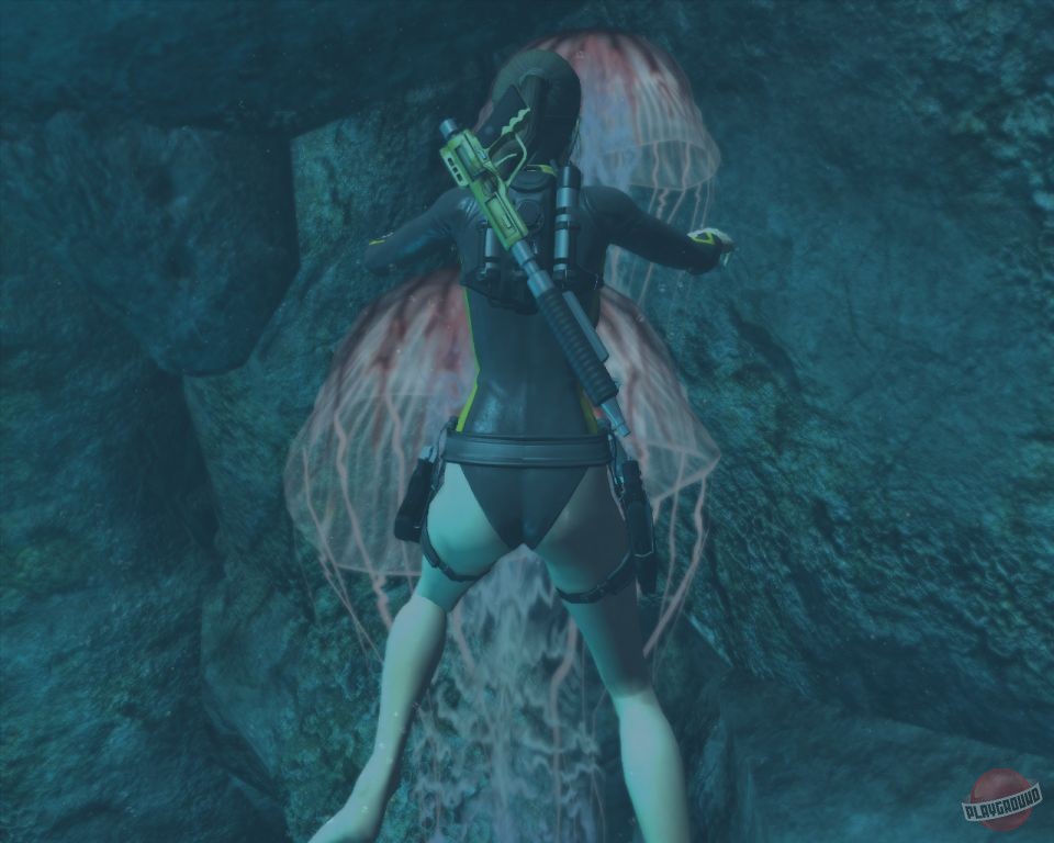 Скриншот из игры Tomb Raider: Underworld - 71