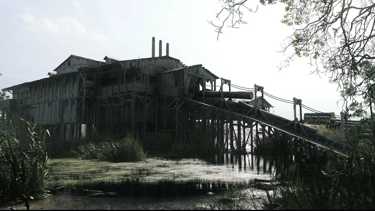 Скриншот из игры Hunt: Showdown - 45