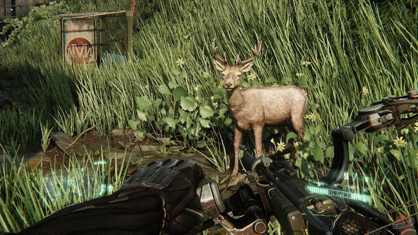 Скриншот из игры Crysis 3 - 192