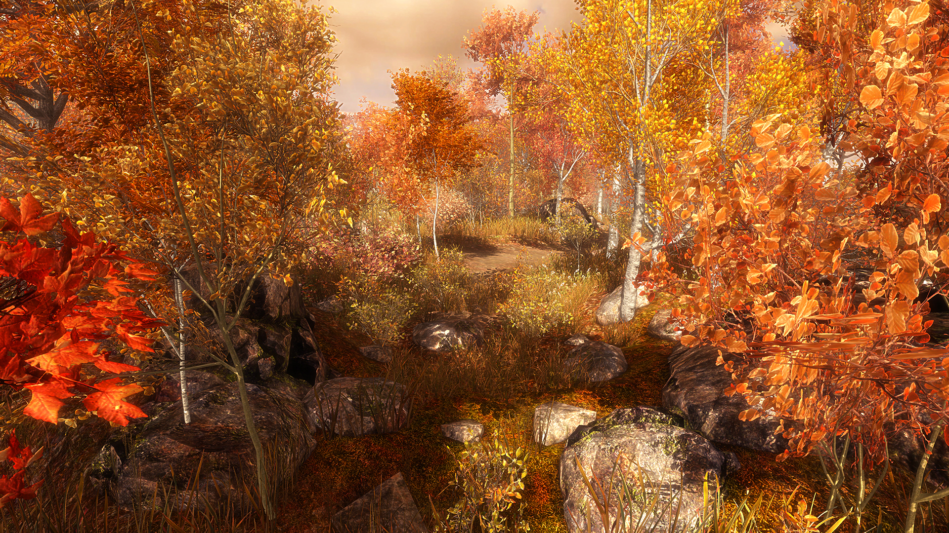 Скриншот из игры Guided Meditation VR - 8