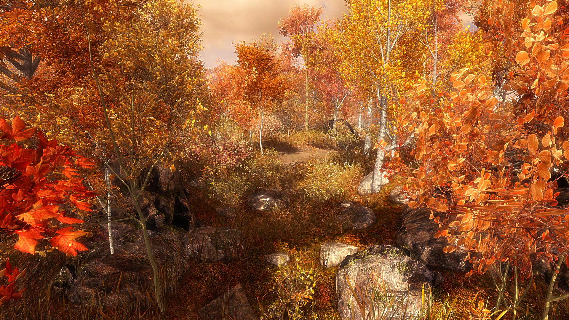 Скриншот из игры Guided Meditation VR - 5