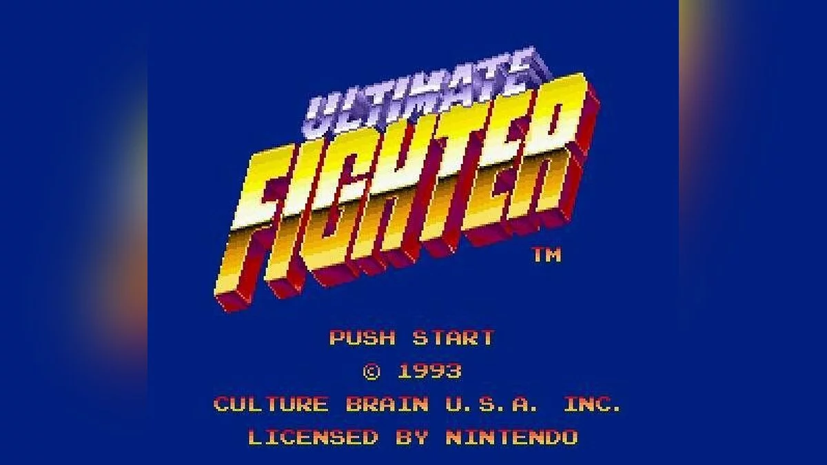 Скриншот из игры Ultimate Fighter - 6