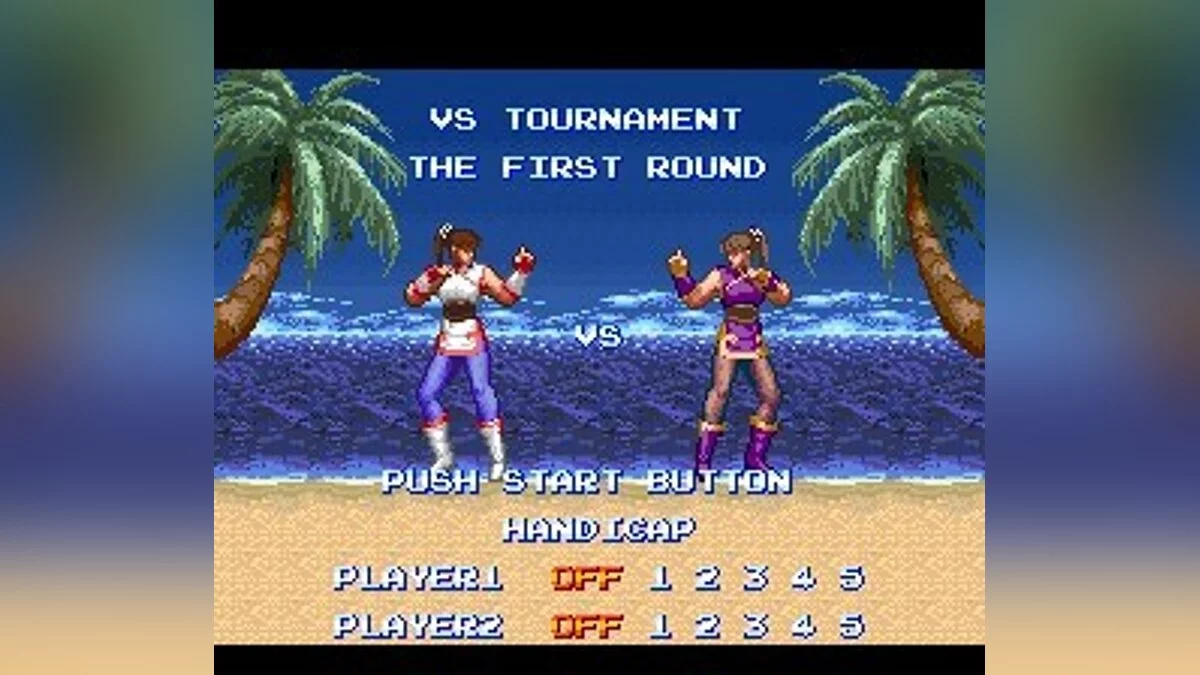 Скриншот из игры Ultimate Fighter - 9