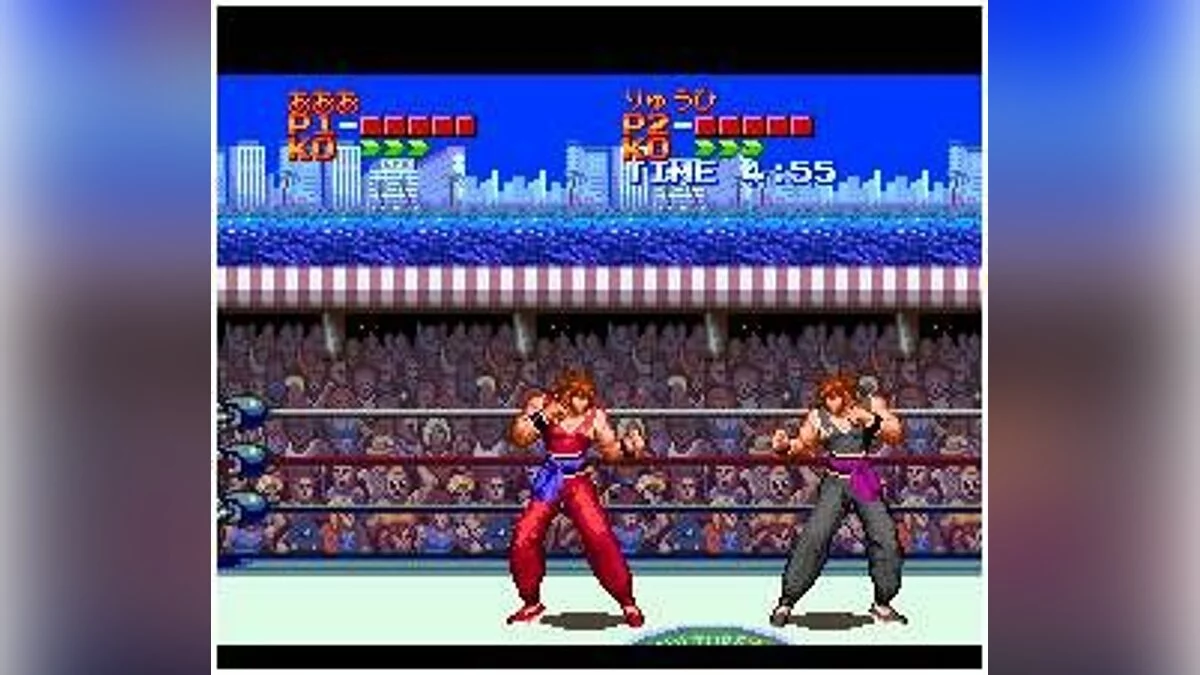 Скриншот из игры Ultimate Fighter - 8