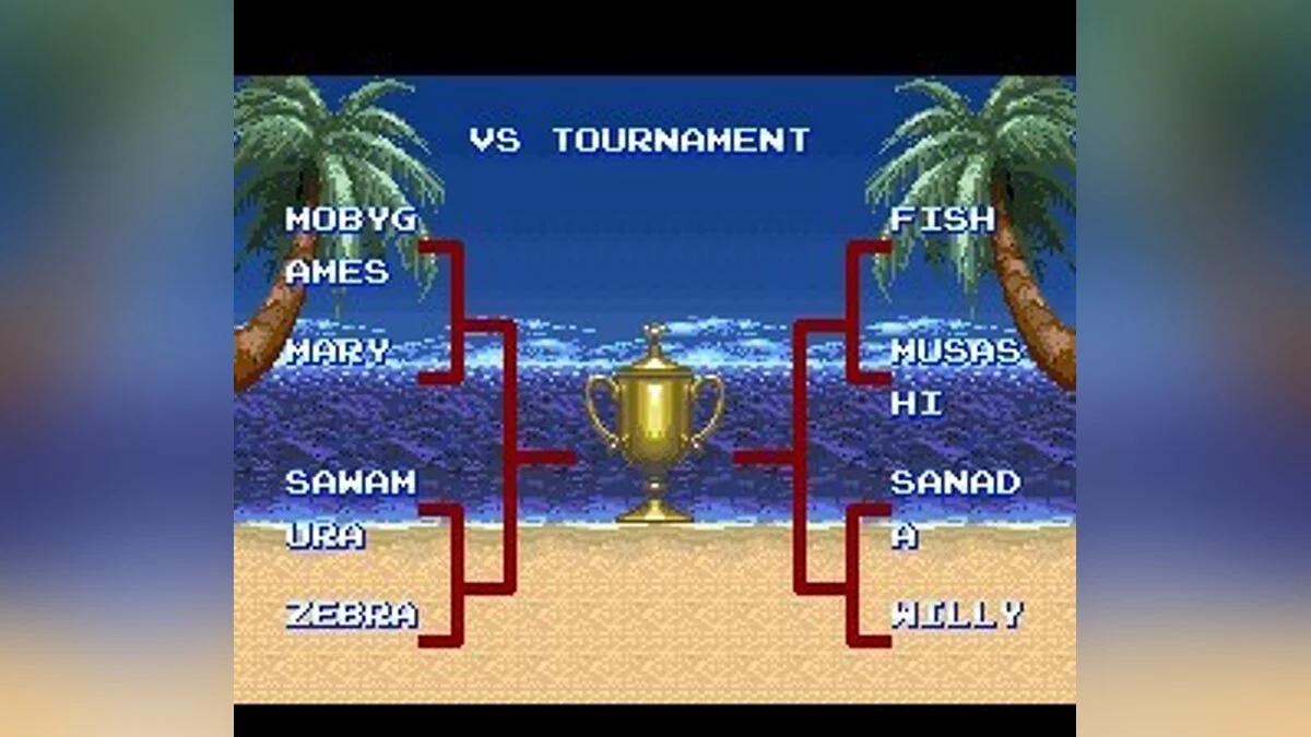 Скриншот из игры Ultimate Fighter - 5