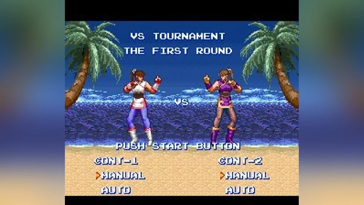 Скриншот из игры Ultimate Fighter - 10