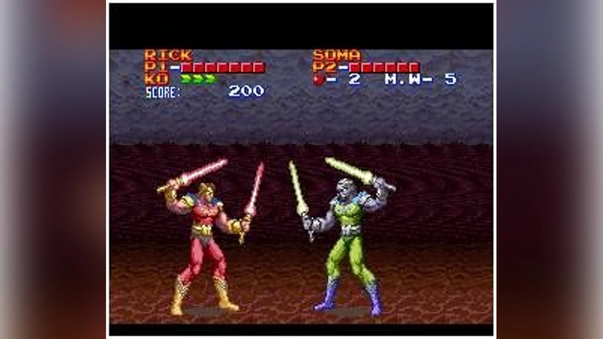 Скриншот из игры Ultimate Fighter - 7