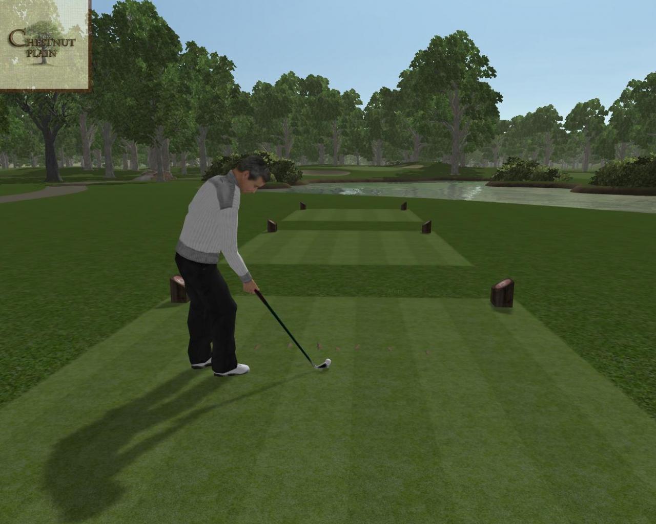 Скриншот из игры Customplay Golf 2010 - 25
