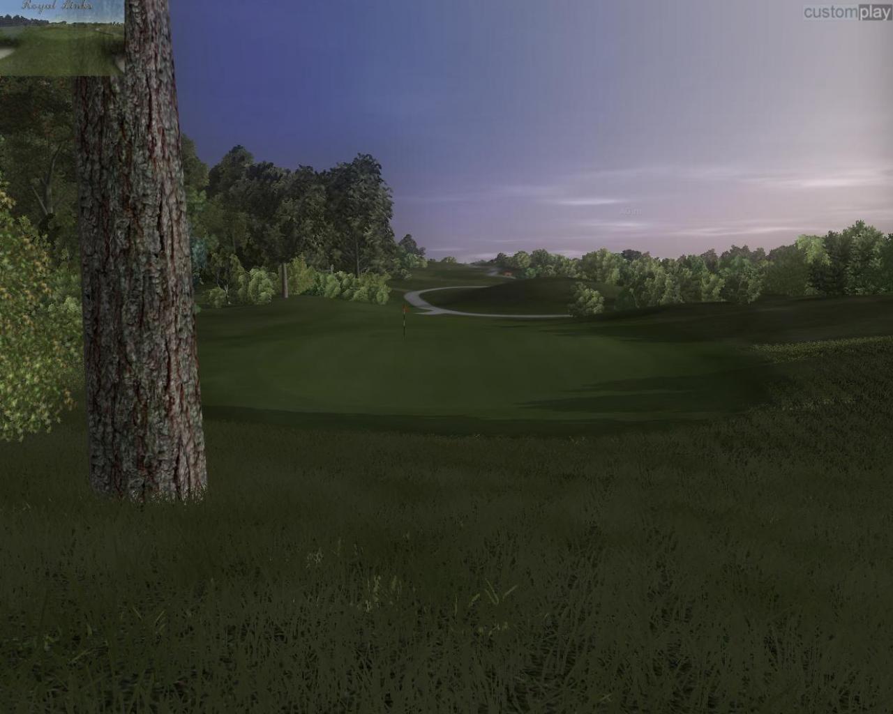 Скриншот из игры Customplay Golf 2010 - 21