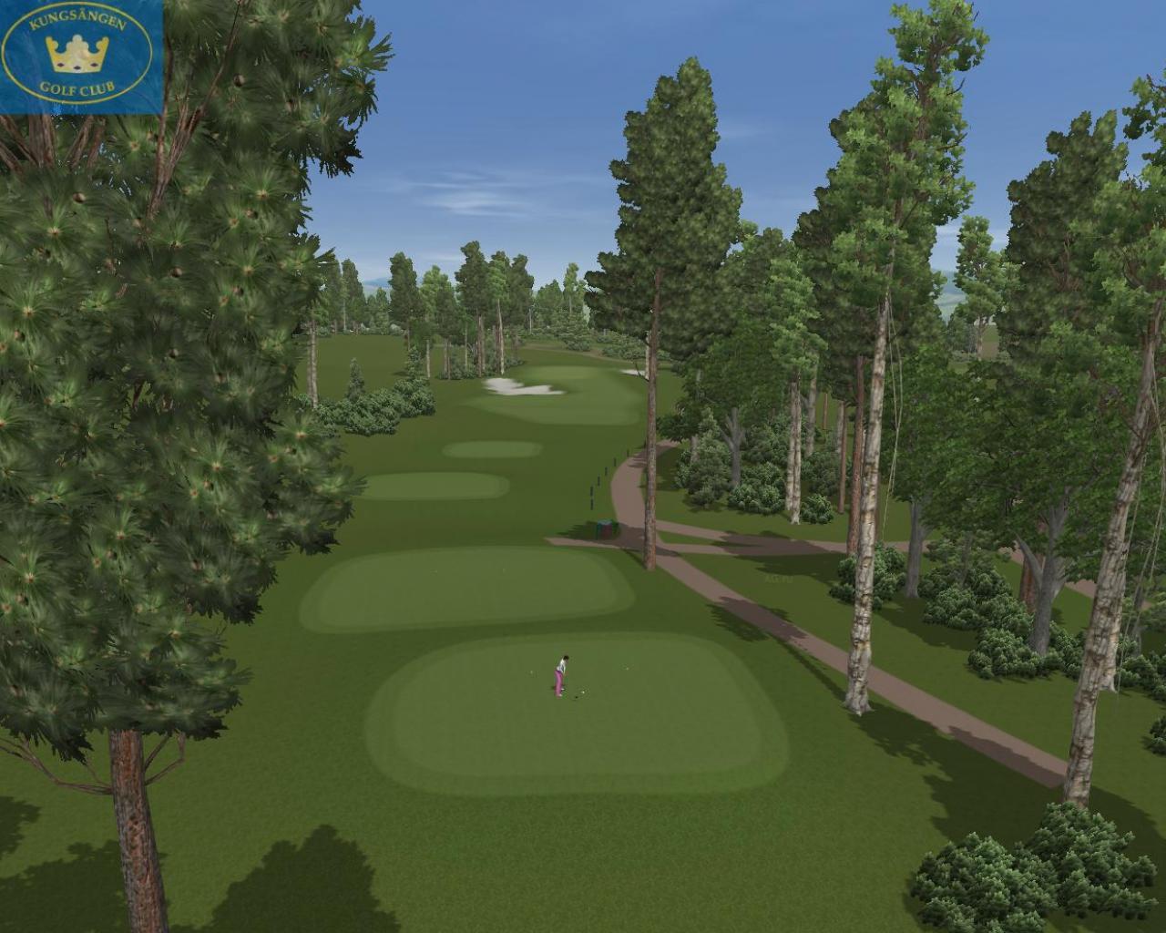 Скриншот из игры Customplay Golf 2010 - 33