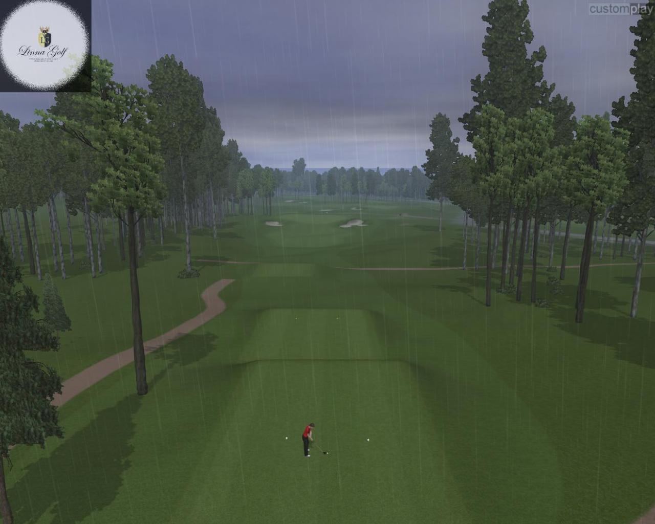 Скриншот из игры Customplay Golf 2010 - 12