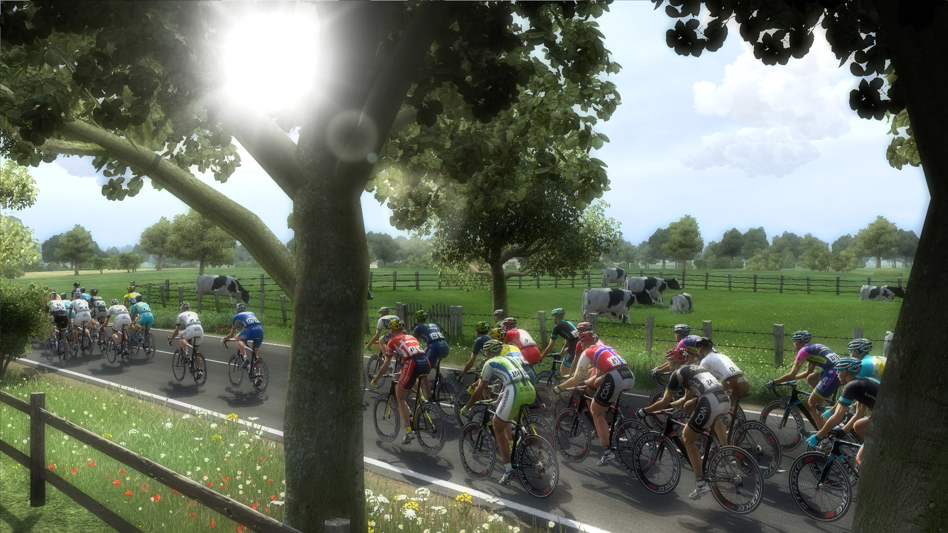 Скриншот из игры Pro Cycling Manager 2014 - 24