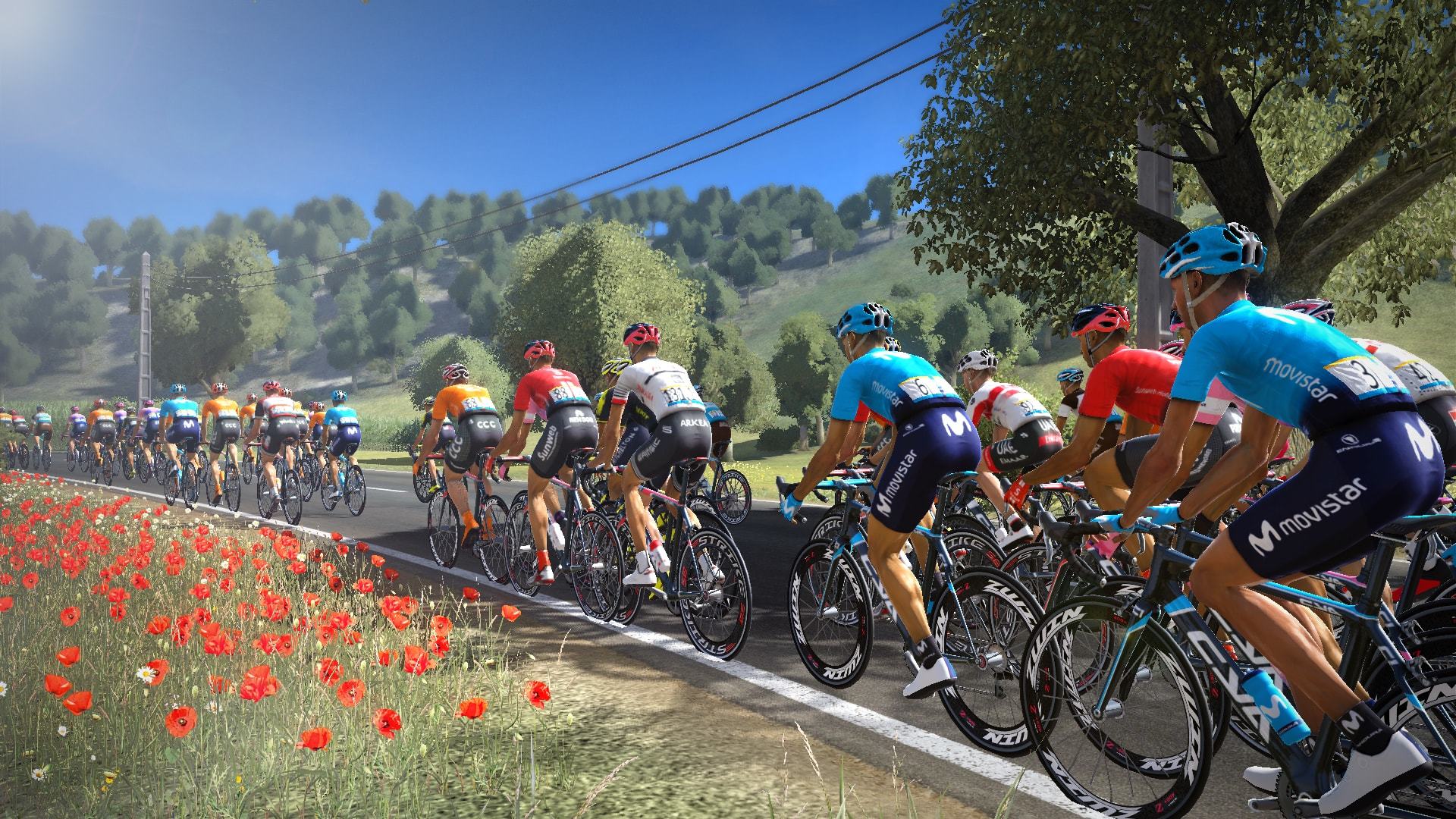 Скриншот из игры Pro Cycling Manager 2019 - 12
